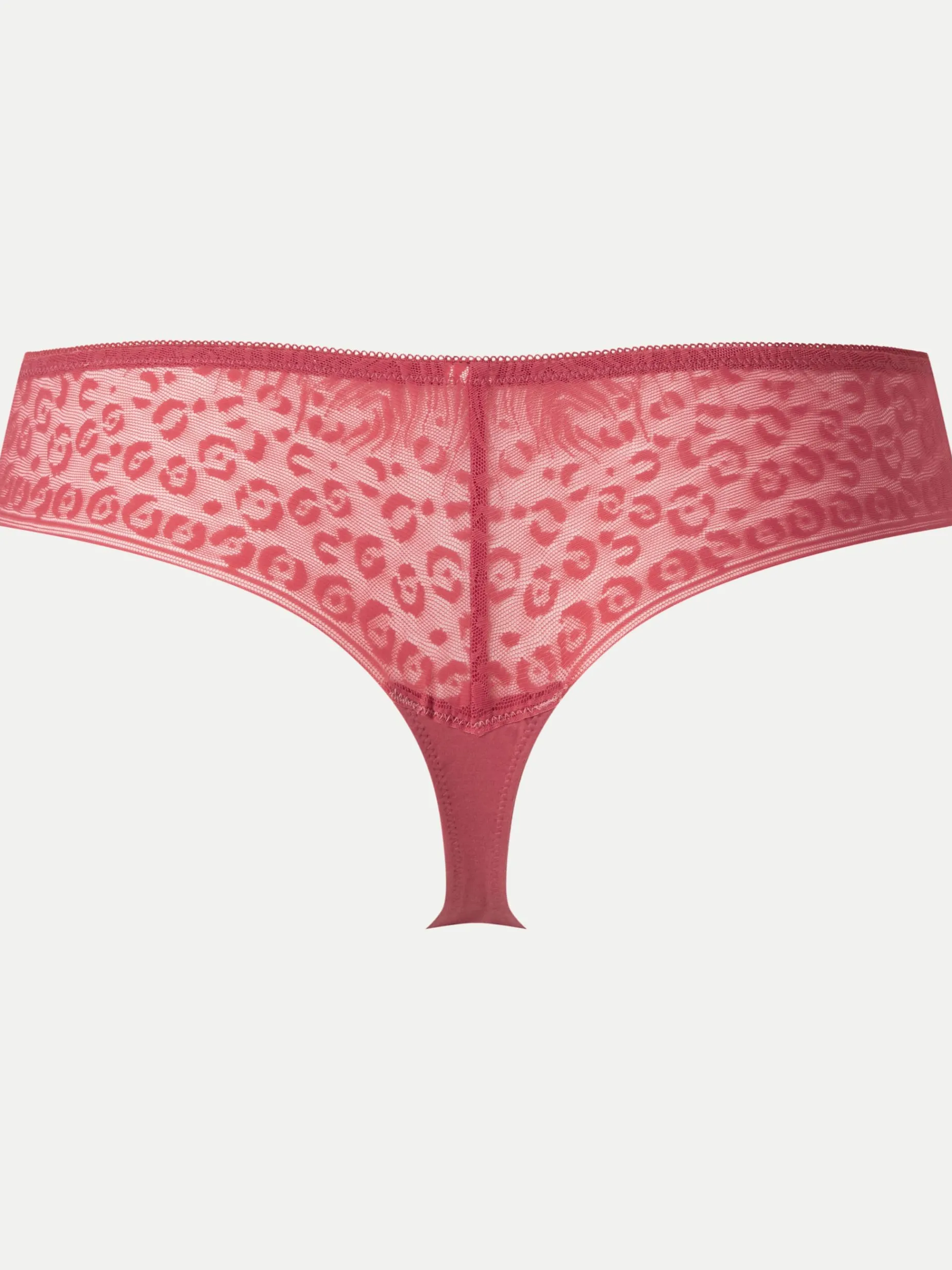 String - Garnet Rose